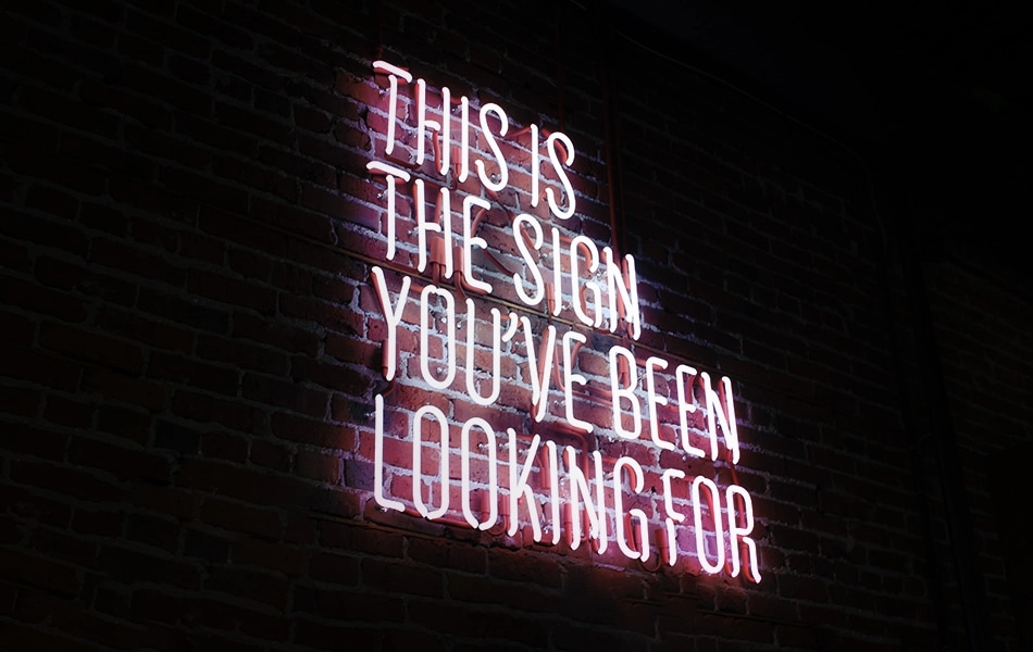 A neon sign sits on a dark brick wall with the text 'this is the sign you've been looking for'.